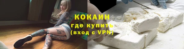 прущие грибы Володарск