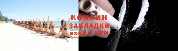 прущие грибы Володарск