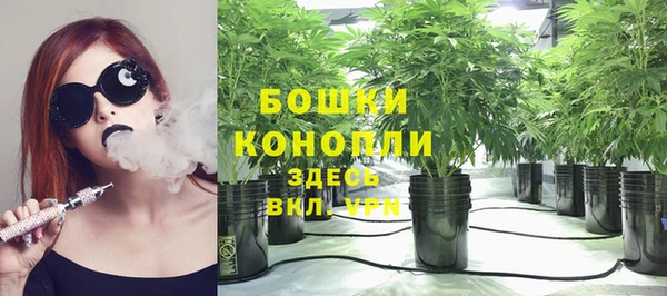 прущие грибы Володарск