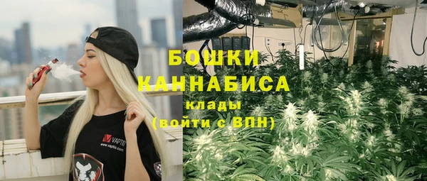 прущие грибы Володарск