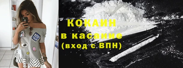 прущие грибы Володарск